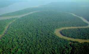 amazone vue du ciel