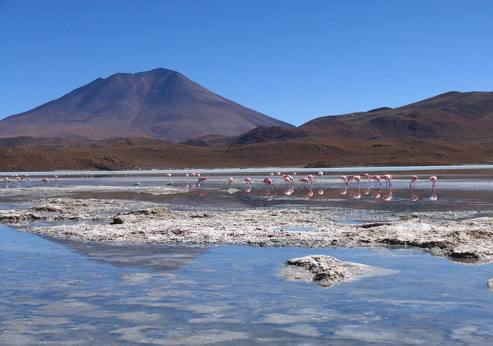 Bolivie