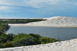 paysage de dunes