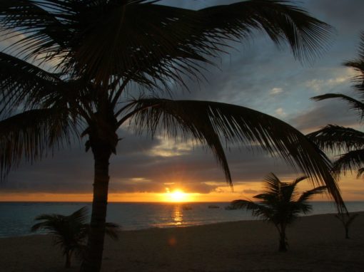 Martinique / Guadeloupe