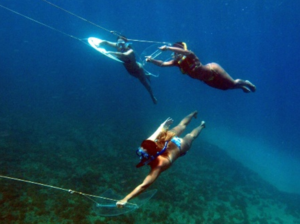 FERNANDO DE NORONHA planche sous-marine