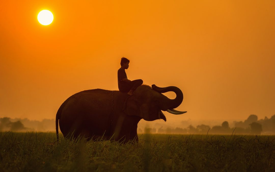 Cambodge