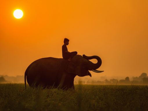 Cambodge