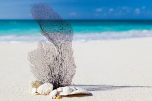 ST BART ST MARTIN 1 (5)