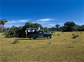 Jeep safari au Pantanal Nord