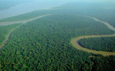 Nuit de « survie » en forêt Amazonienne