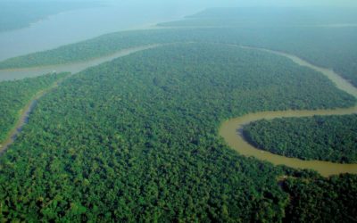 Nuit de « survie » en forêt Amazonienne